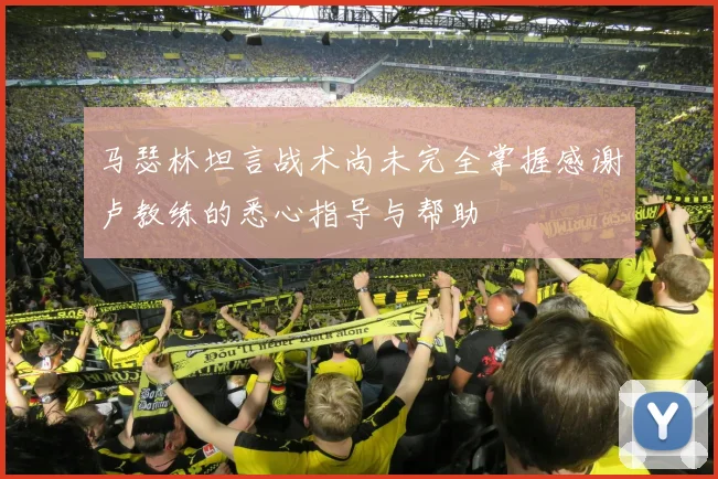 马瑟林坦言战术尚未完全掌握感谢卢教练的悉心指导与帮助